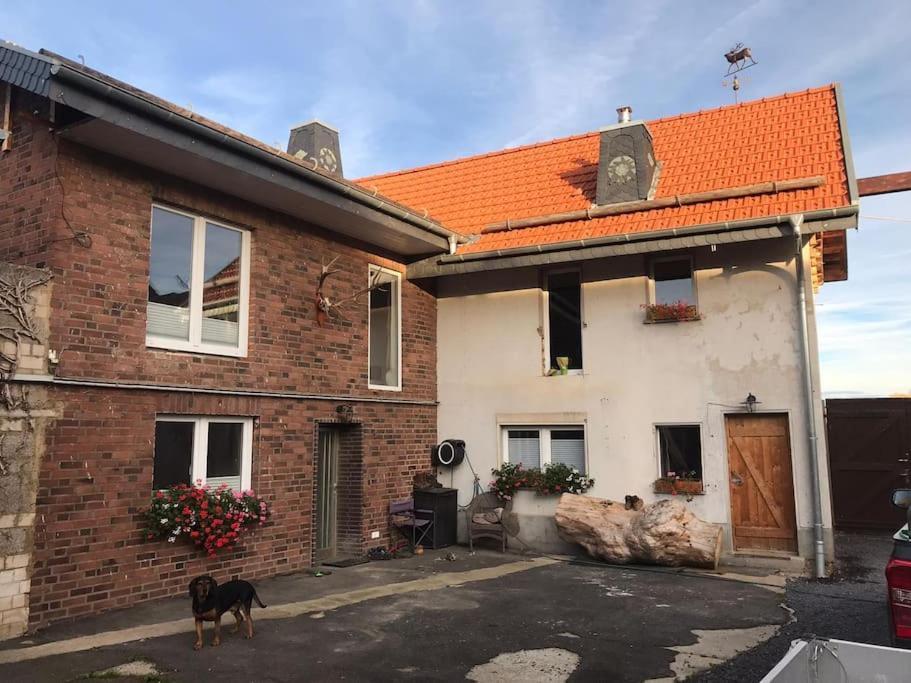 Ferienwohnung Felinenhof Weilerswist Екстер'єр фото
